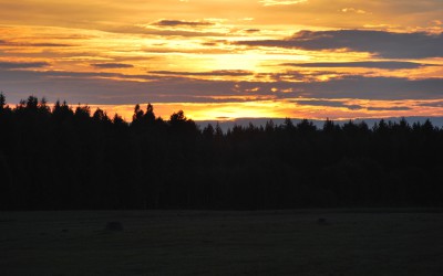 Sommertur til Siljansnäs